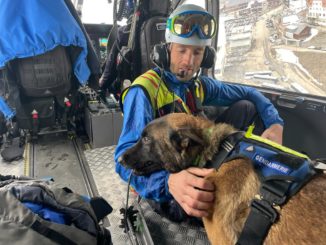 Sniper, chien d'avalanches déjà en intervention dans les Pyrénées