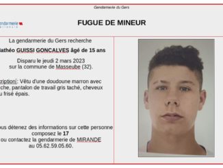 Avis de recherche à Pau après la disparition d'un adolescent de 15 ans